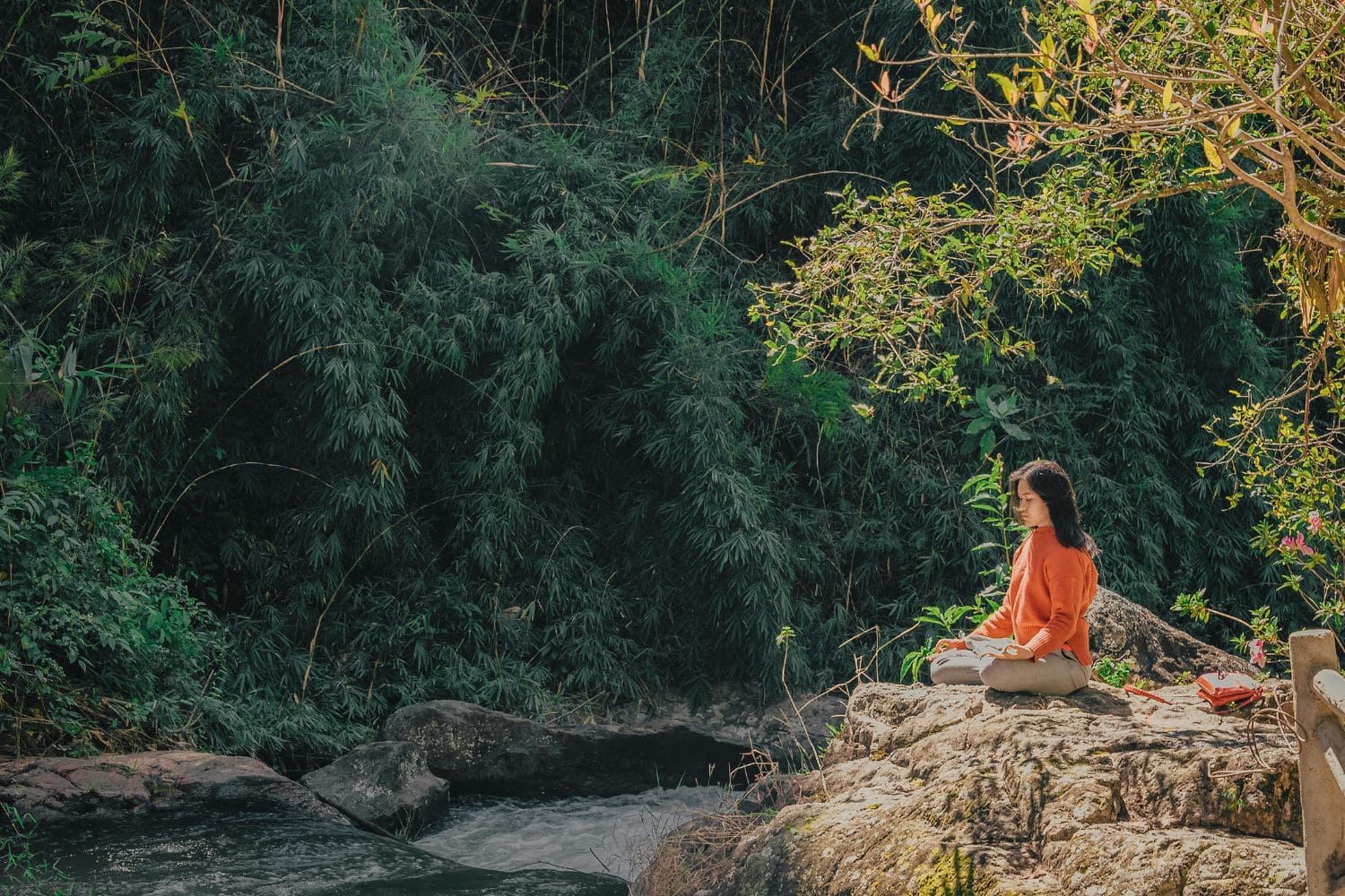 Meditation Time Wellness