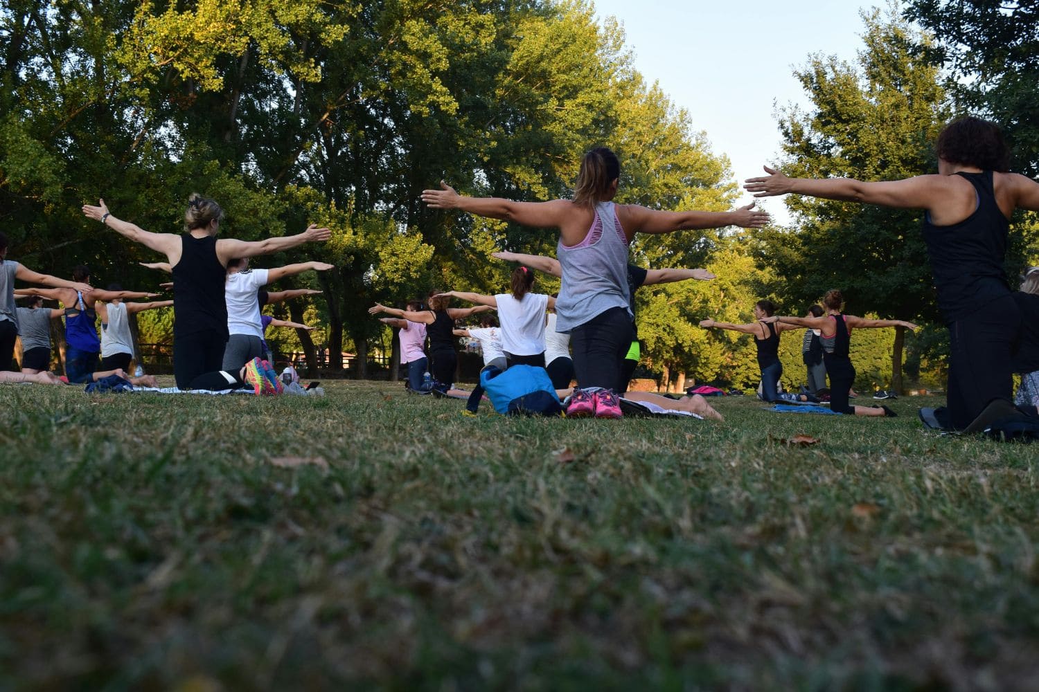 Yoga Pose Wellness